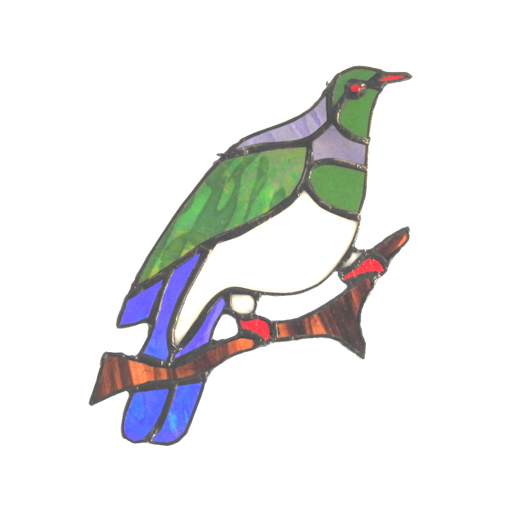 New Zealand Woodpigeon - Kereru
